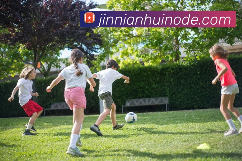 App Interface Preview